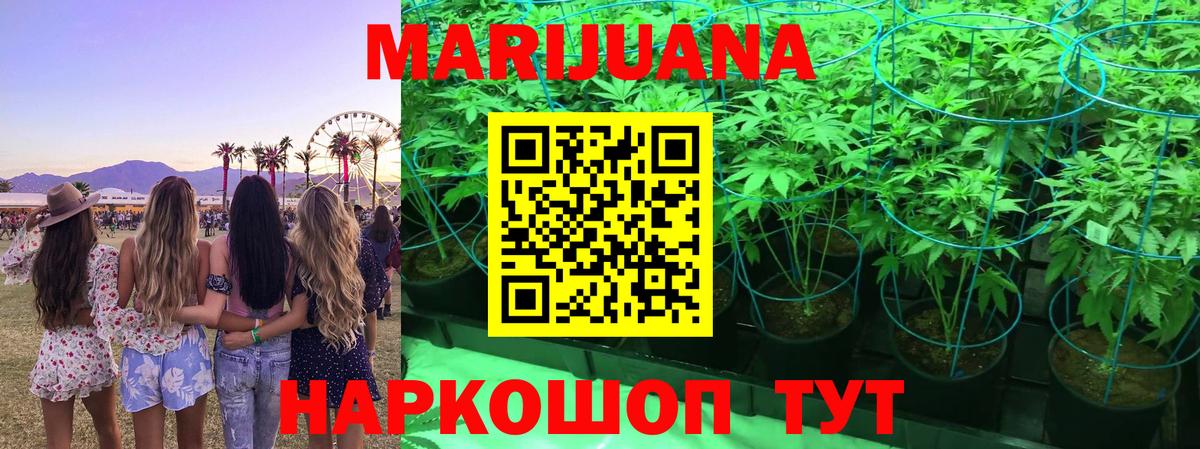 Шишки марихуана планчик  Бошки Шишки ГИДРОПОН  Канабис план  Марихуана LSD WEED  Коломна 